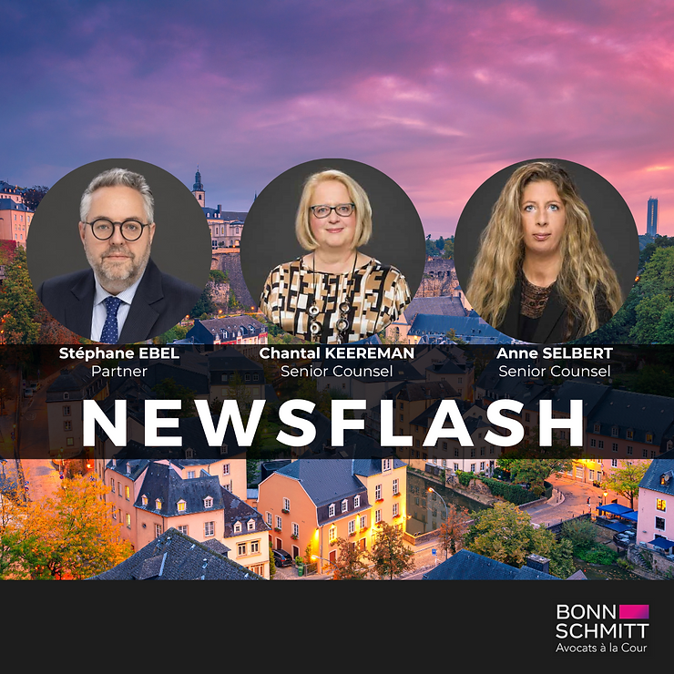 The modernization of Luxembourg accounting law